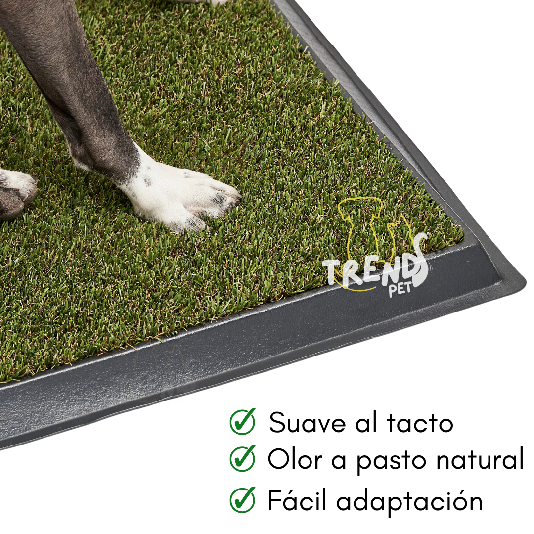 Tapete sanitario para perros – TrendsCol